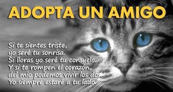 adopta-un-amigo-(1)